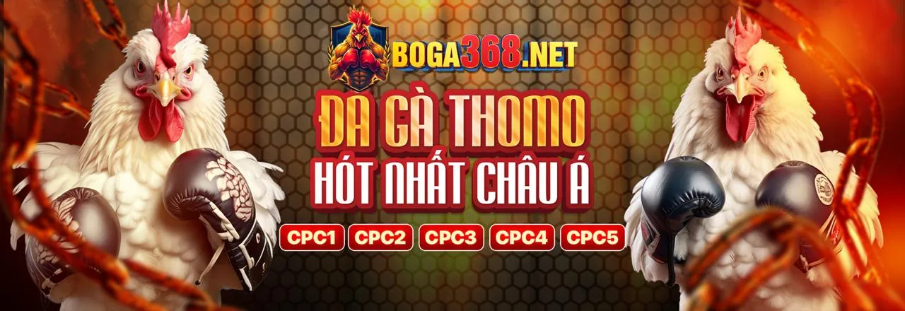 Các biện pháp bảo mật trên okking app