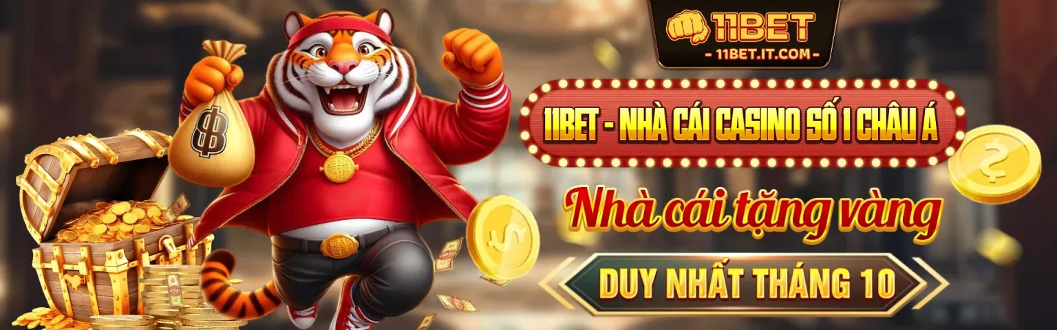 Hình ảnh đại diện okking app giới thiệu về công ty